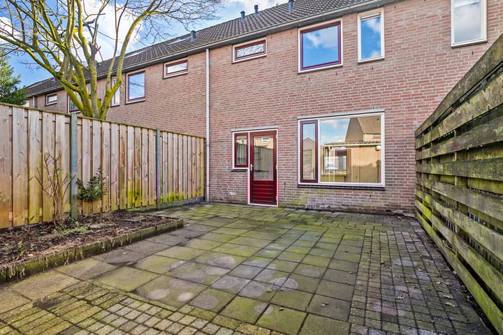 Foto 24 van Wollegras 27