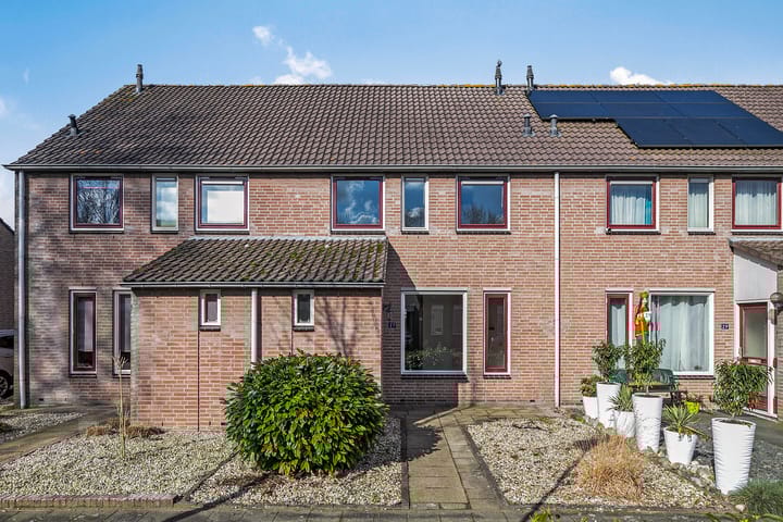 Foto 27 van Wollegras 27