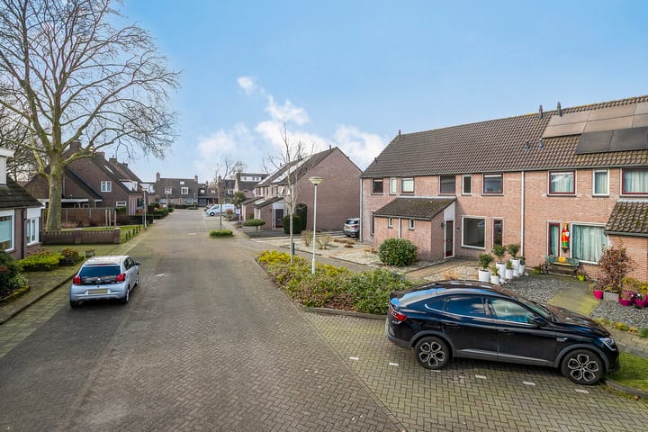 Foto 28 van Wollegras 27