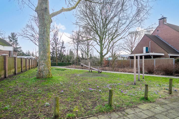 Foto 29 van Wollegras 27