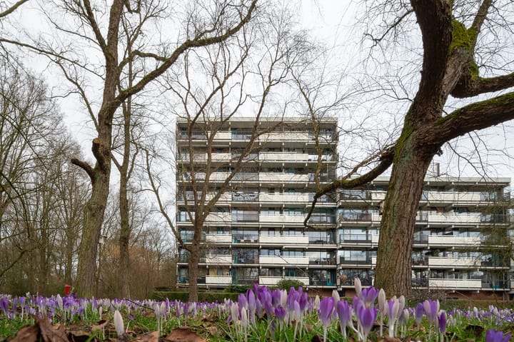 Foto 1 van Top Naefflaan 82