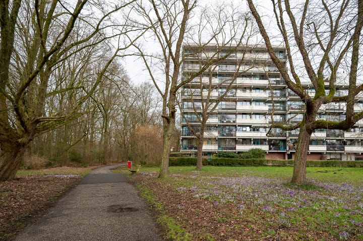 Foto 5 van Top Naefflaan 82