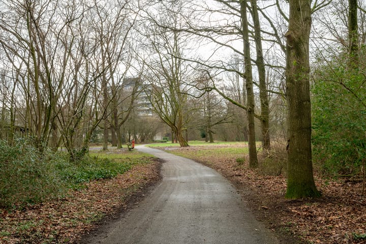 Foto 6 van Top Naefflaan 82