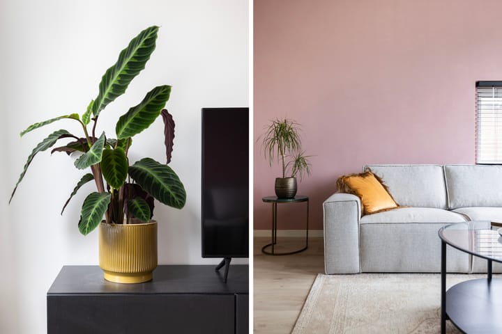 Foto 6 van Anna van Saksenstraat 48