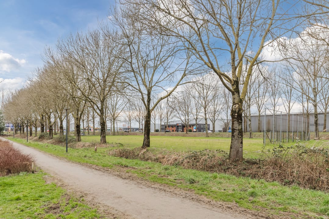 Foto 41 van Prinsendam 9