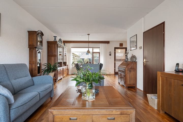 Foto 11 van Kleinhaar 4