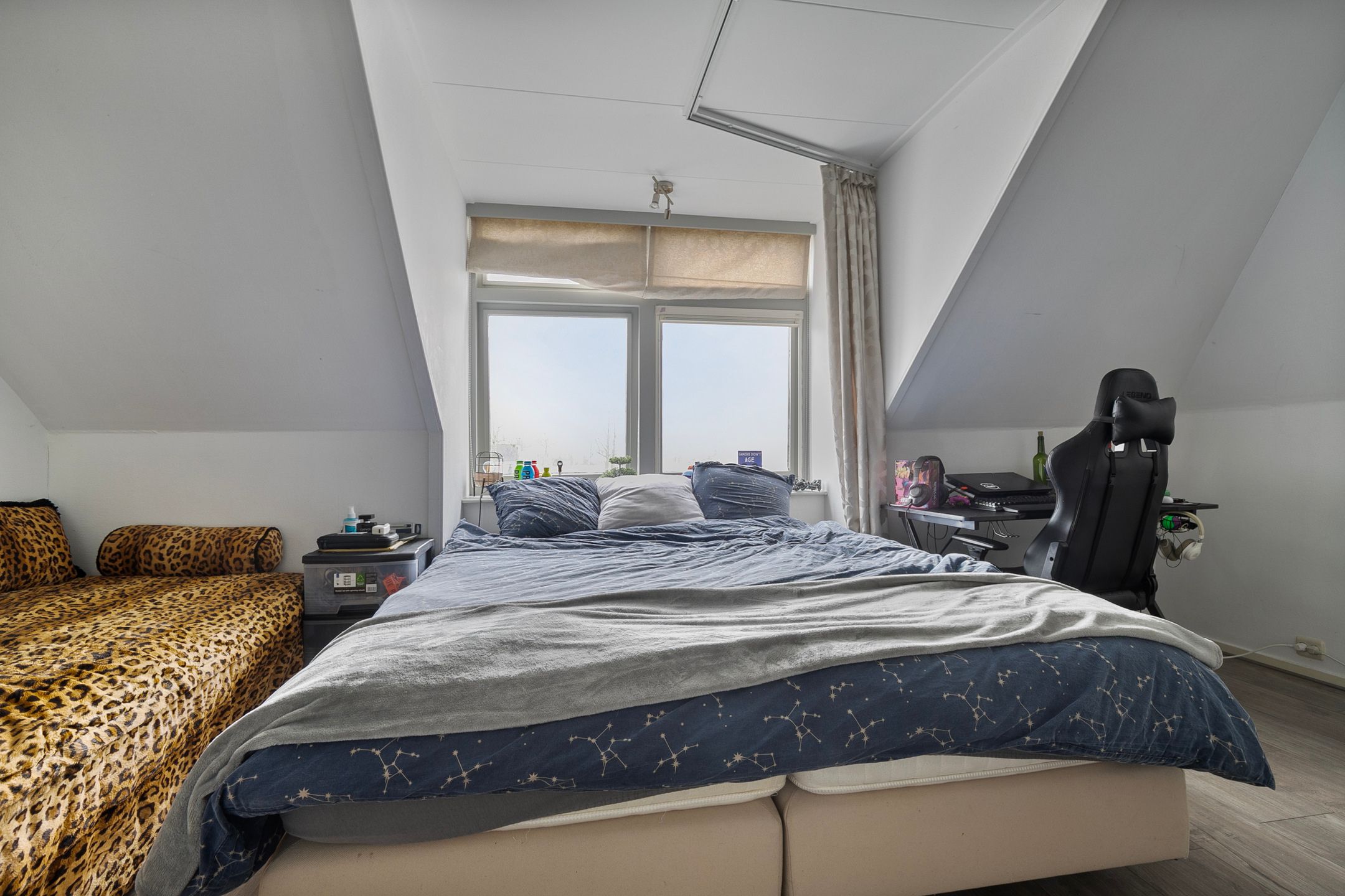 Photo 27 of Noardein 11