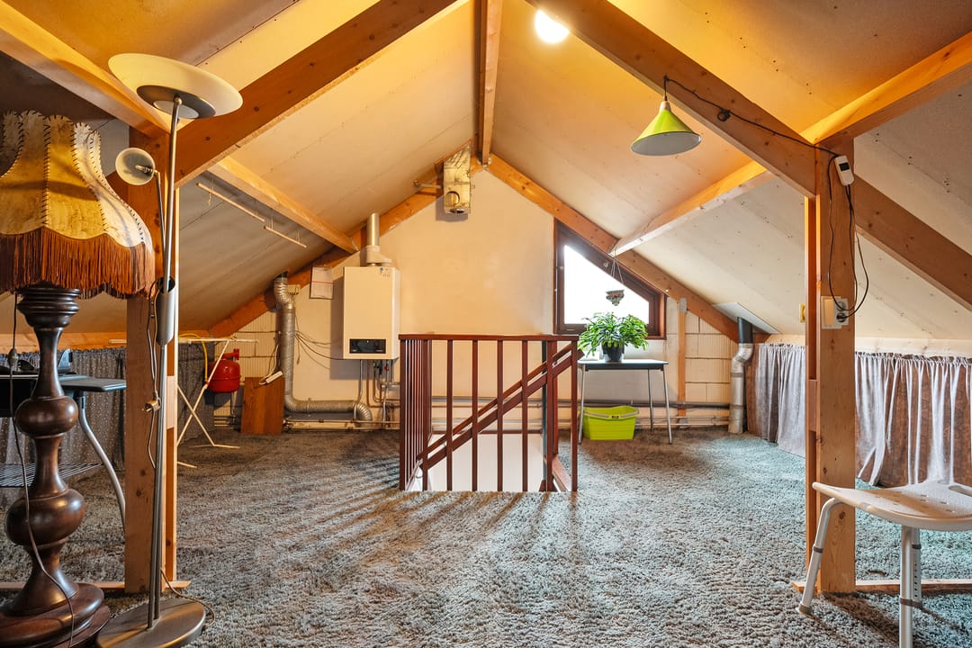 Foto 32 van Kleinhaar 4