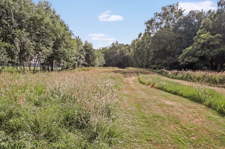 Foto 14 van Berkenlaan 22