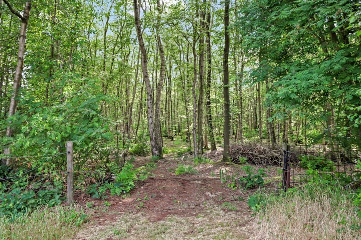 Foto 17 van Berkenlaan 22