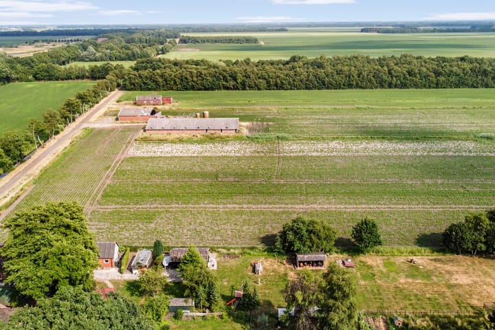 Foto 45 van Berkenlaan 22