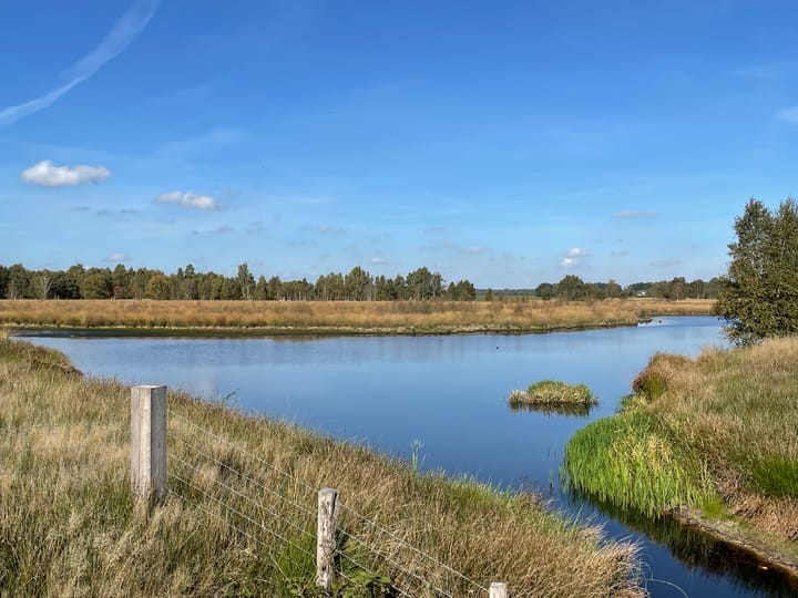 Foto 48 van Berkenlaan 22