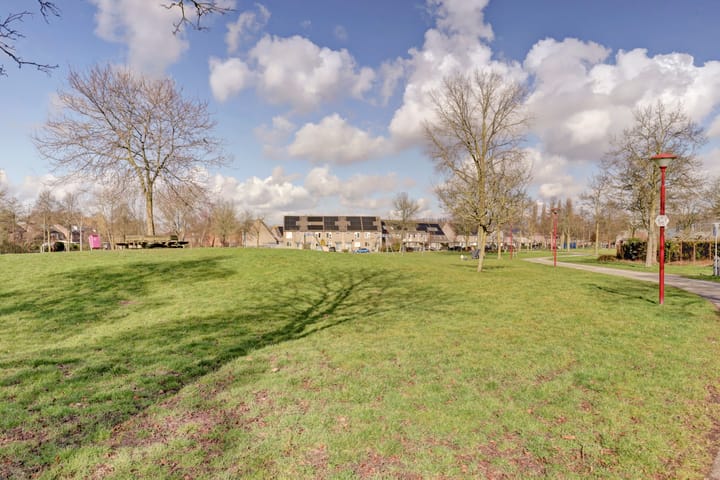 Foto 47 van Lemmingweide 10