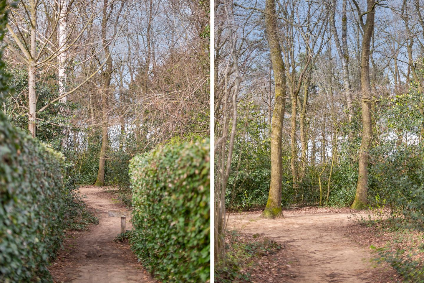 Photo 34 of Wicherserf 16