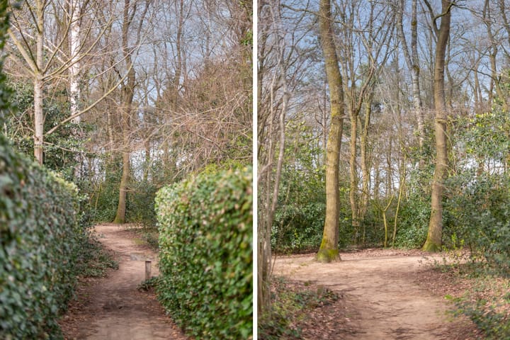 Foto 34 van Wicherserf 16