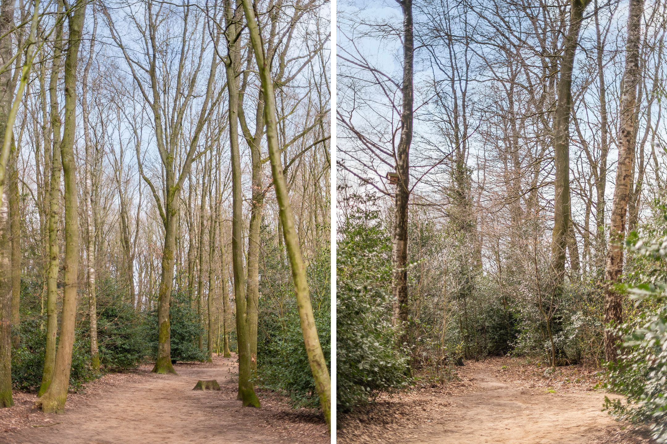 Photo 33 of Wicherserf 16