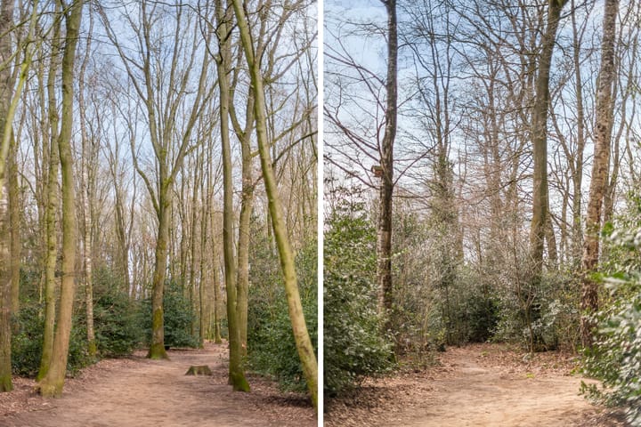 Foto 33 van Wicherserf 16