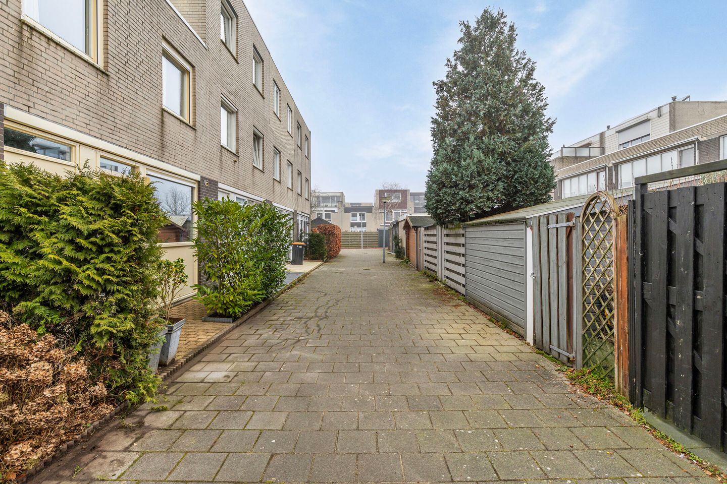 Foto 29 van Polkahof 14