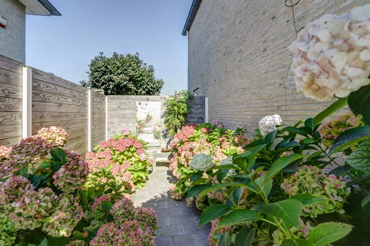 Foto 46 van Burgemeester C Koertstraat 1