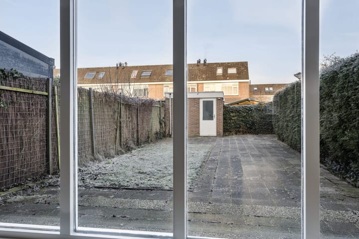 Foto 3 van Botter 36 18