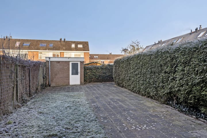 Foto 20 van Botter 36 18