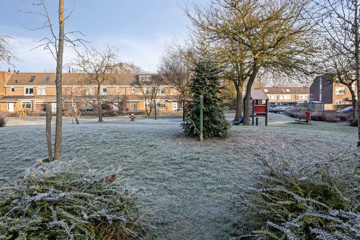 Foto 23 van Botter 36 18