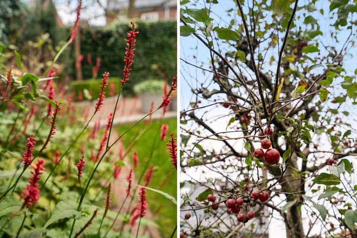 Foto 15 van Heidestein 9