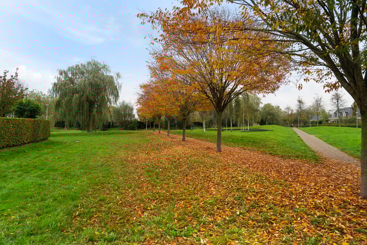 Foto 53 van Heidestein 9