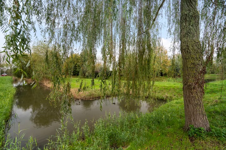 Foto 55 van Heidestein 9