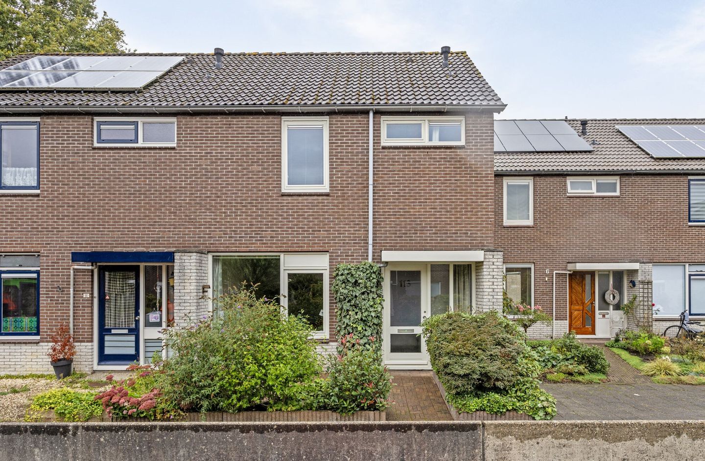 Foto 1 van Salland 113