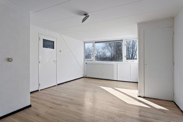 Foto 20 van Haydnstraat 9