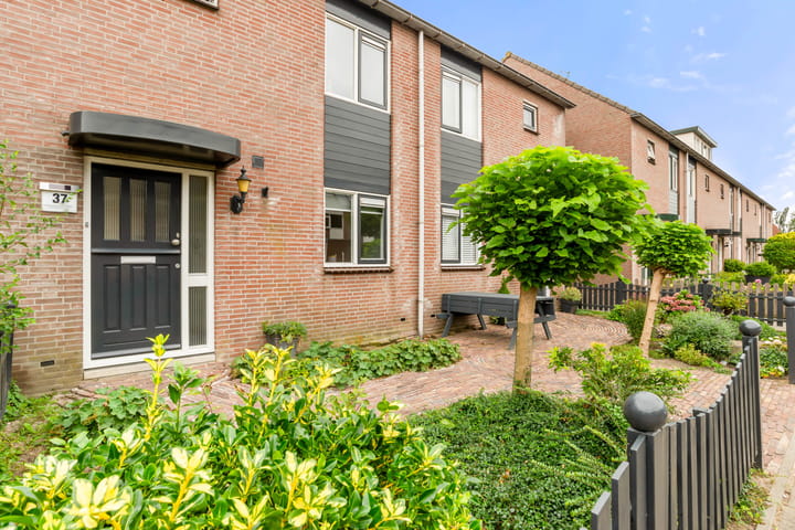 Foto 7 van Delving 37