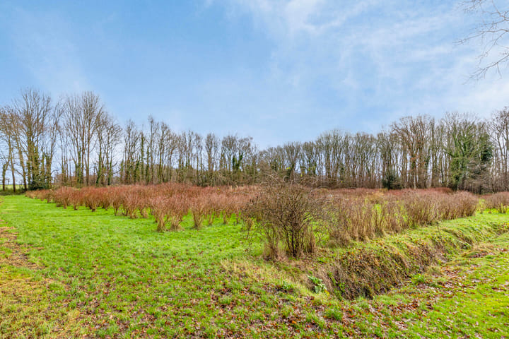 Photo 41 of de Weegbree 83