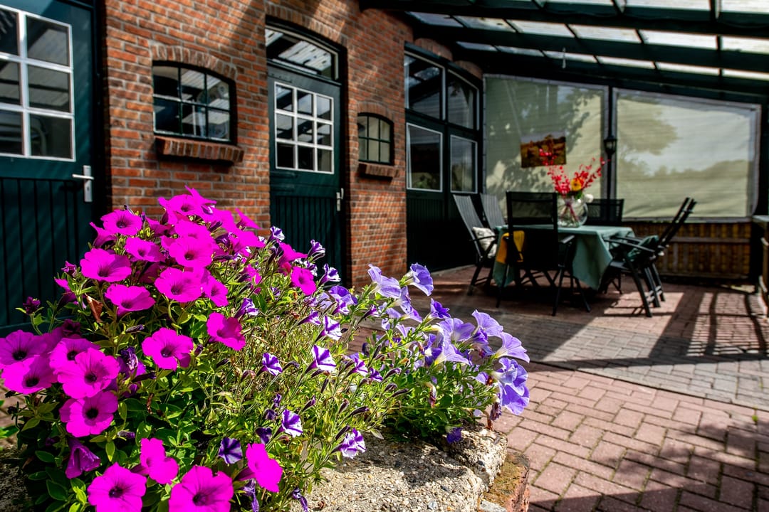 Photo 22 of Jipsingboertangerweg 147