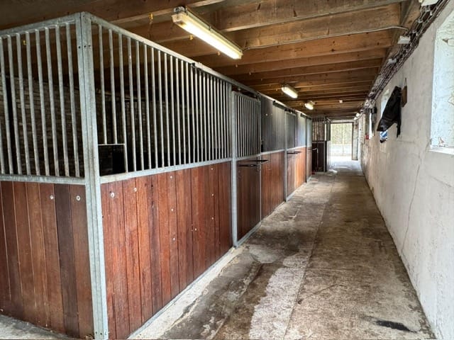 Foto 35 van Jipsingboertangerweg 147