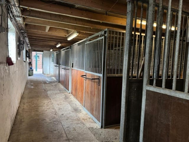 Photo 36 of Jipsingboertangerweg 147