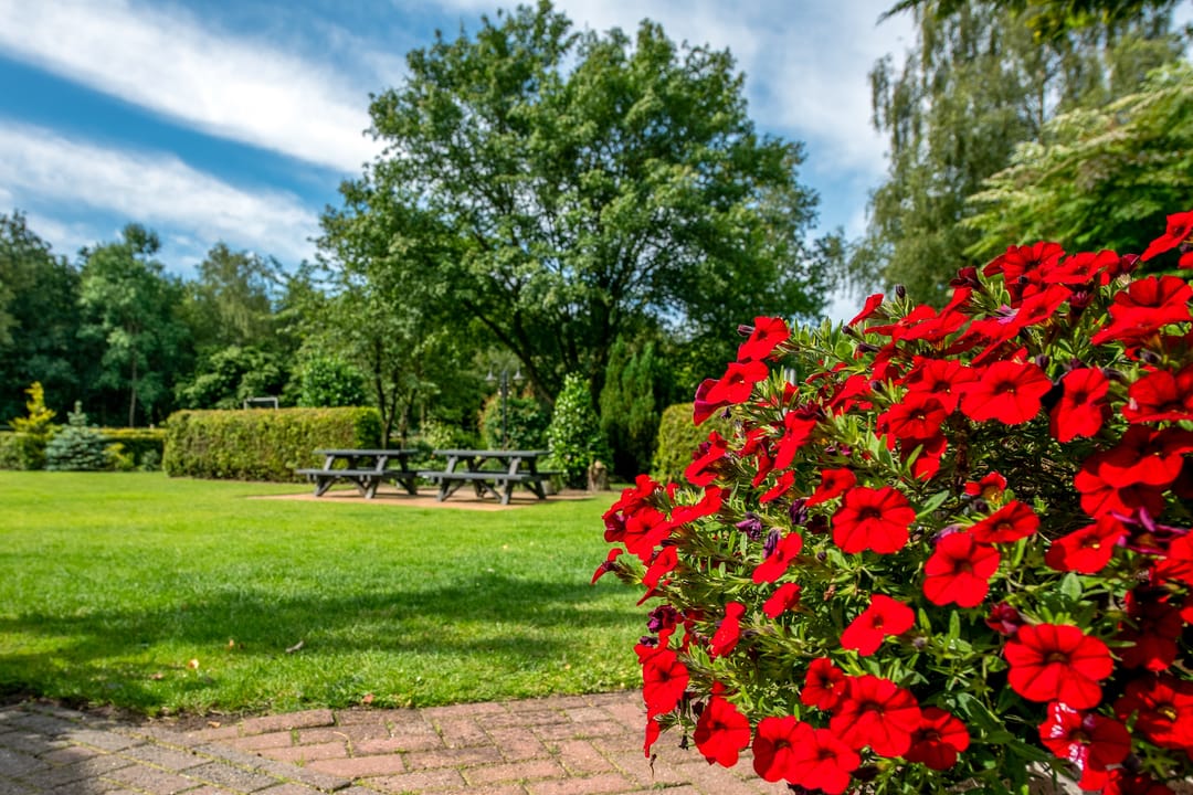 Photo 46 of Jipsingboertangerweg 147