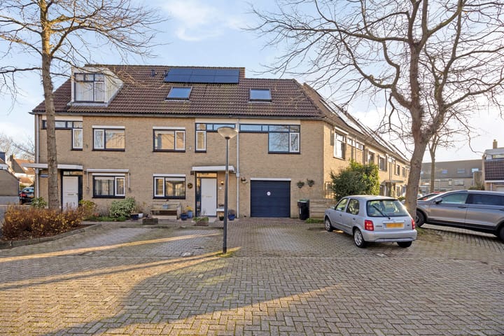 Foto 1 van Kroeskarper 13