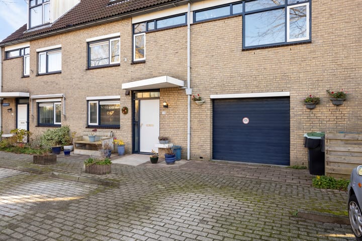 Foto 5 van Kroeskarper 13