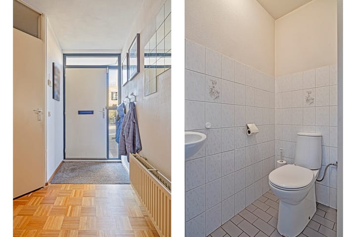 Foto 6 van Kroeskarper 13