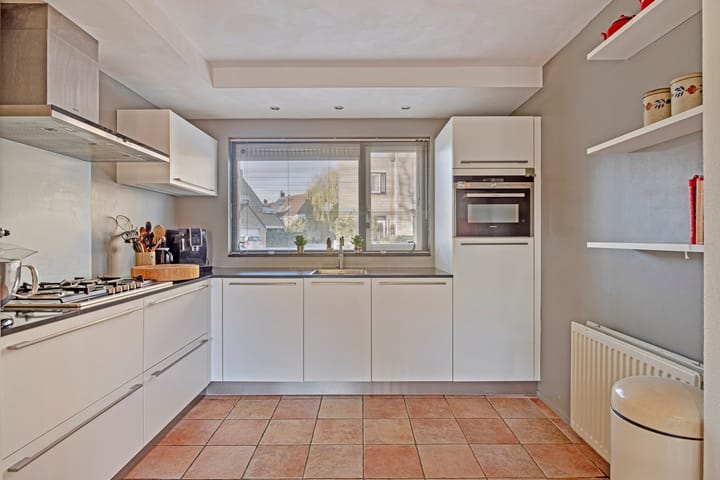 Foto 14 van Kroeskarper 13