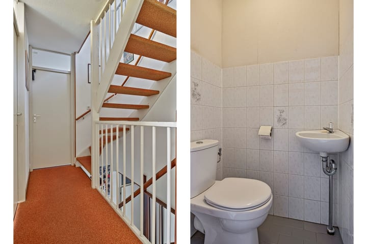 Foto 18 van Kroeskarper 13