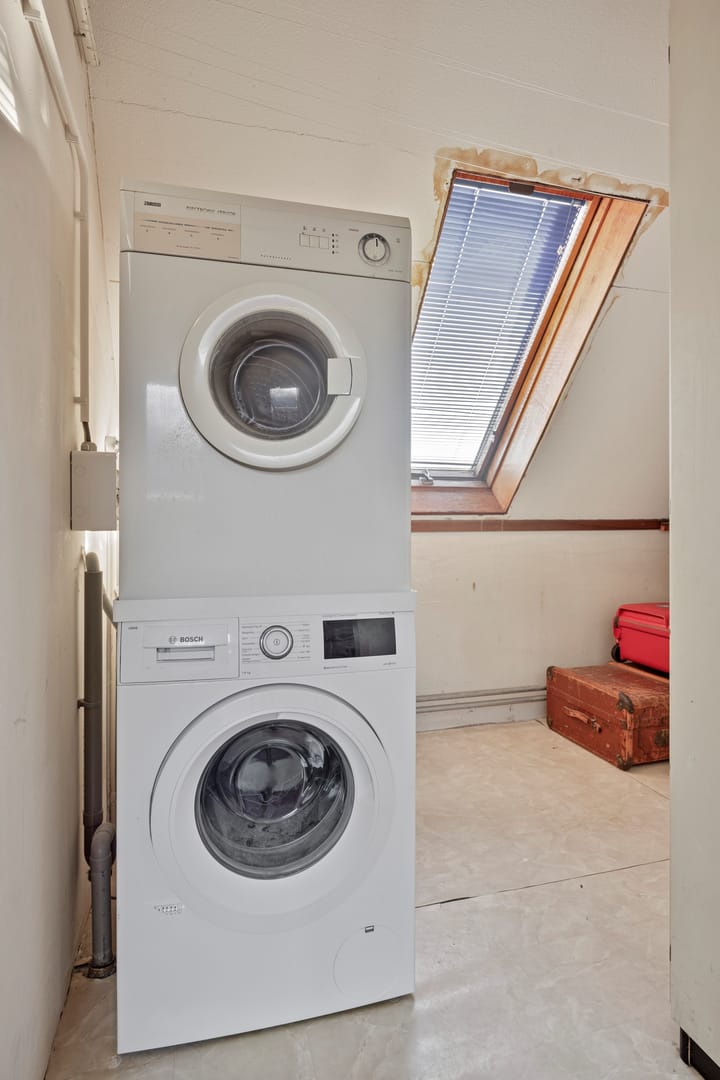 Foto 29 van Kroeskarper 13