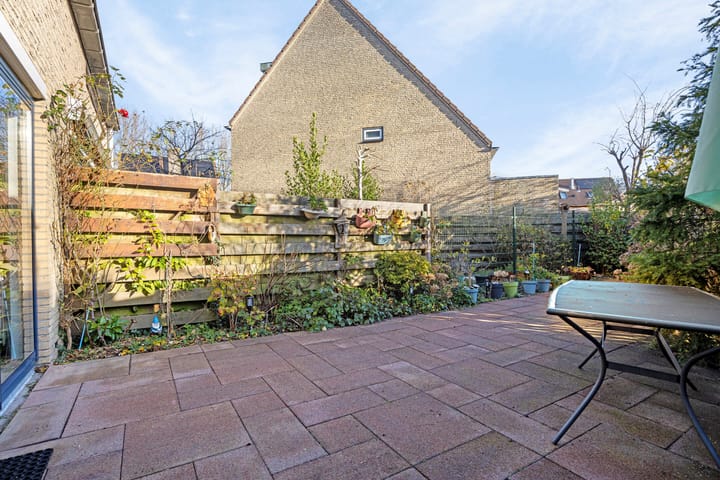 Foto 34 van Kroeskarper 13