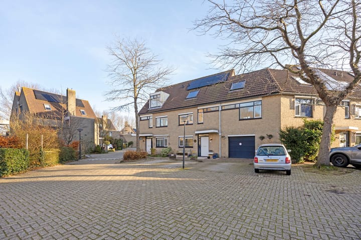 Foto 38 van Kroeskarper 13