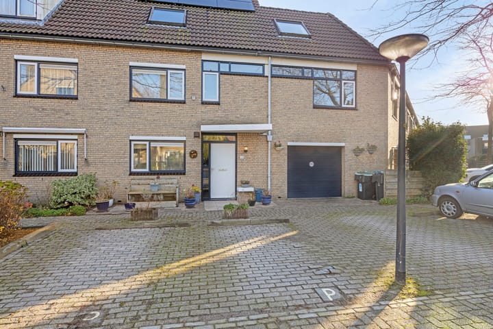 Foto 39 van Kroeskarper 13