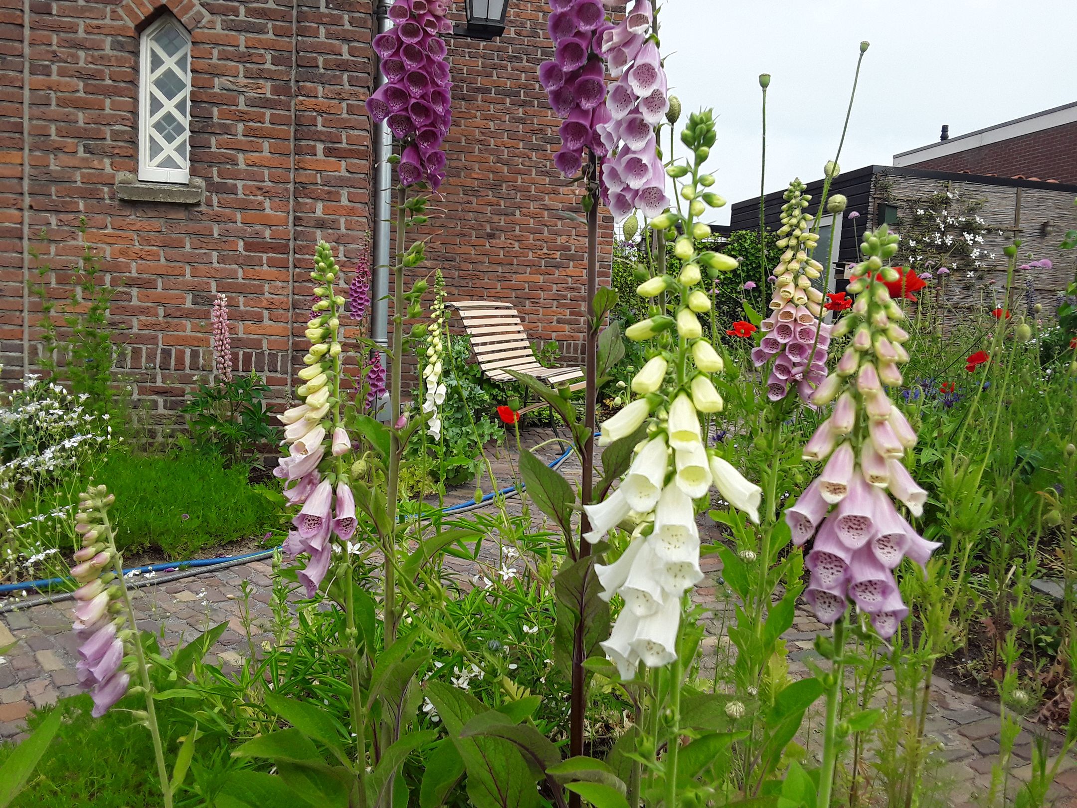 Foto 45 van Bernard IJzerdraatstraat 1-A