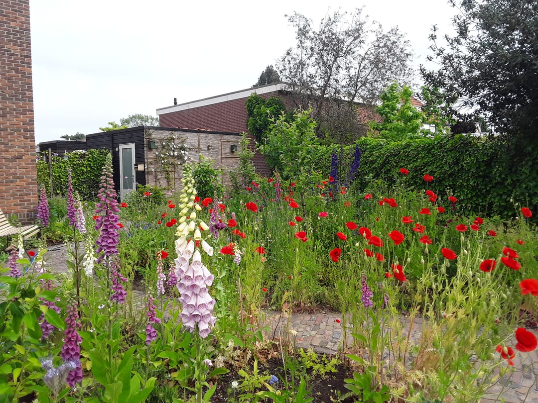 Foto 46 van Bernard IJzerdraatstraat 1-A