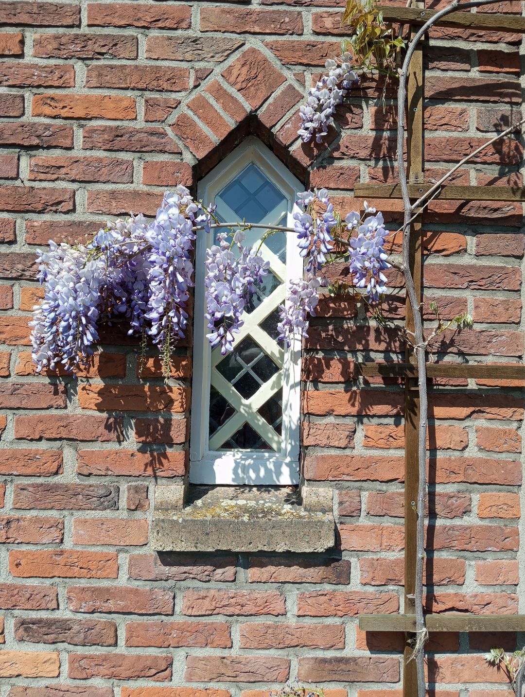 Foto 47 van Bernard IJzerdraatstraat 1-A