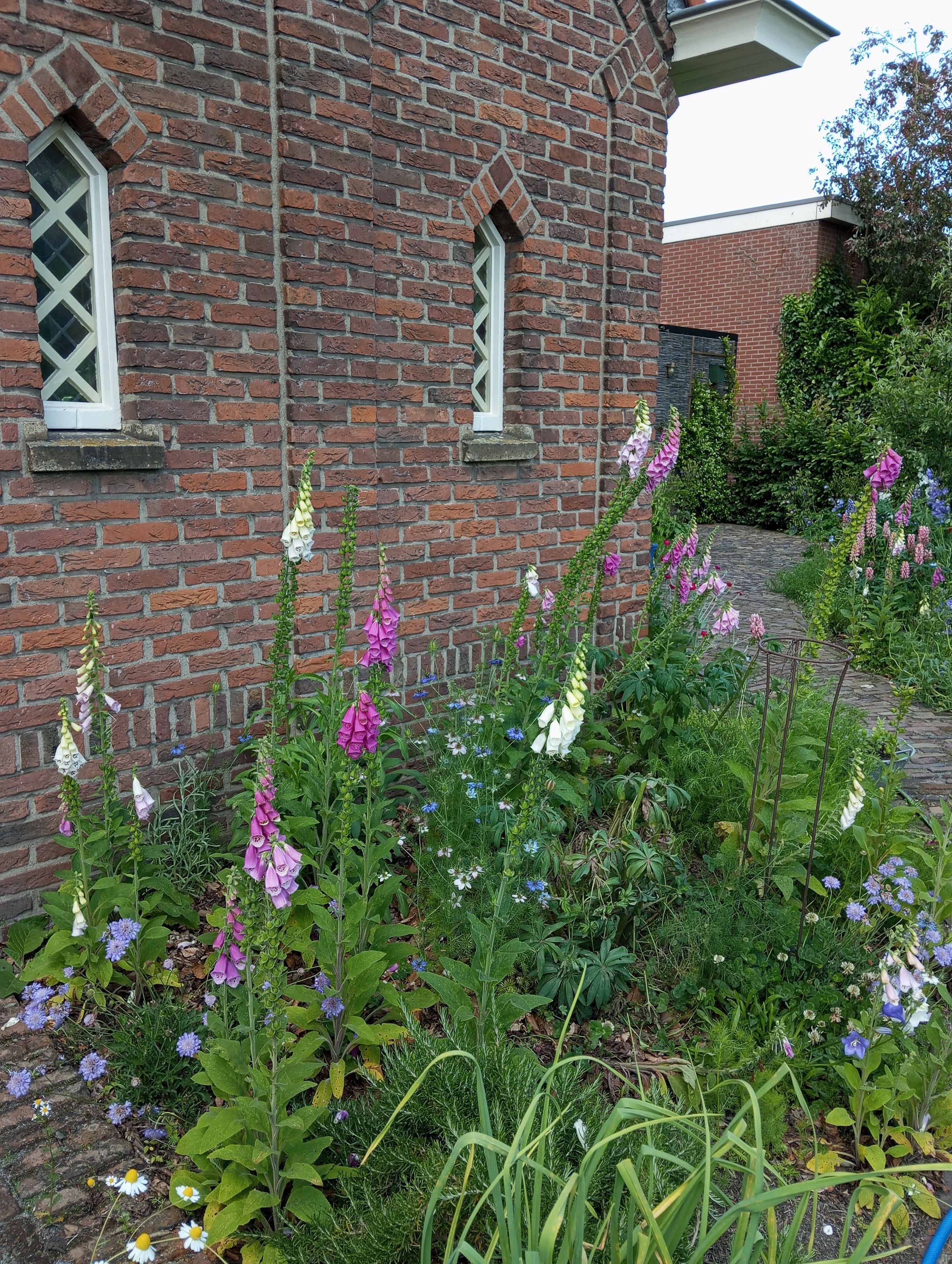 Foto 48 van Bernard IJzerdraatstraat 1-A